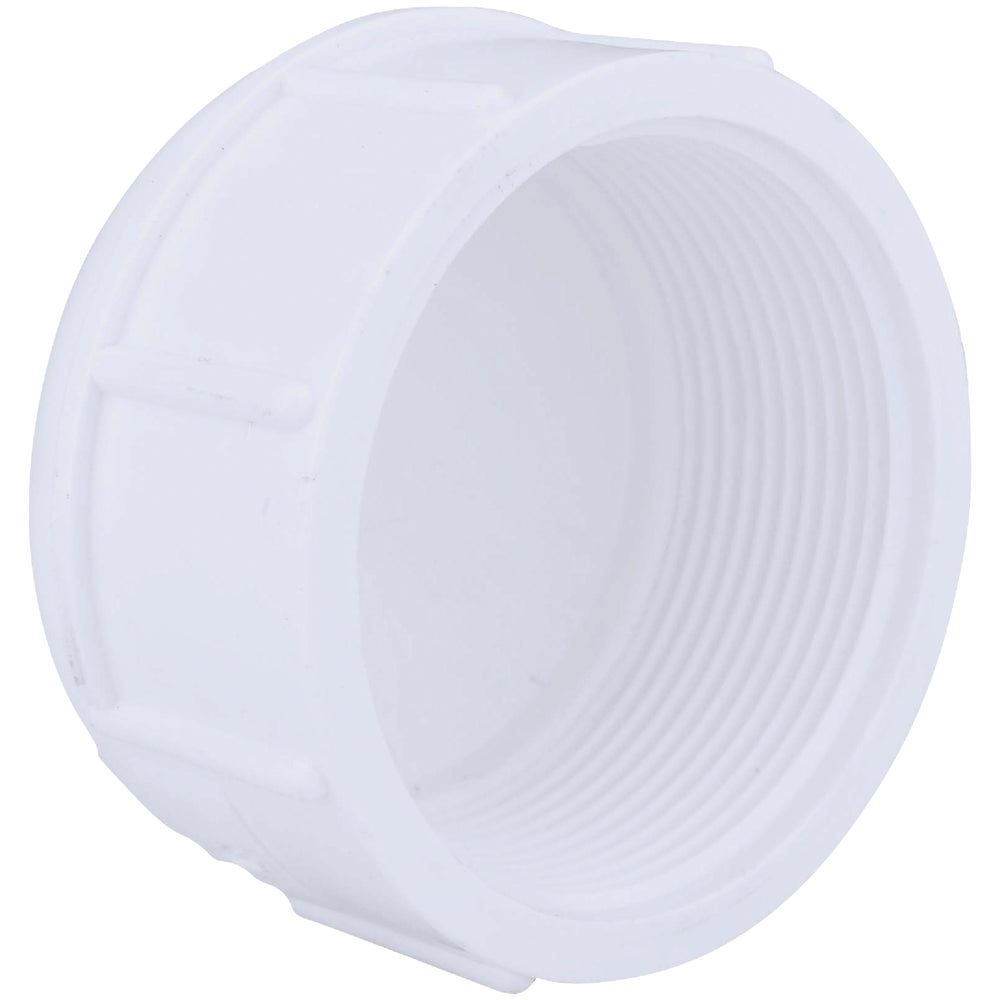 Charlotte Pipe 2 In. FIP Schedule 40 Threaded PVC Cap Family Hardware