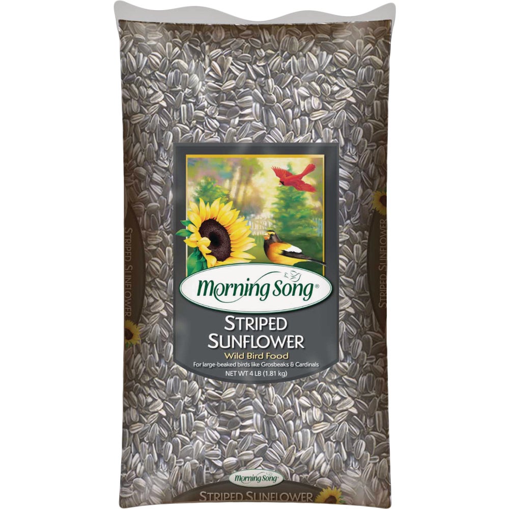 Global Harvest 13594 Morning Song Striped Sunflower Seed Family Hardware