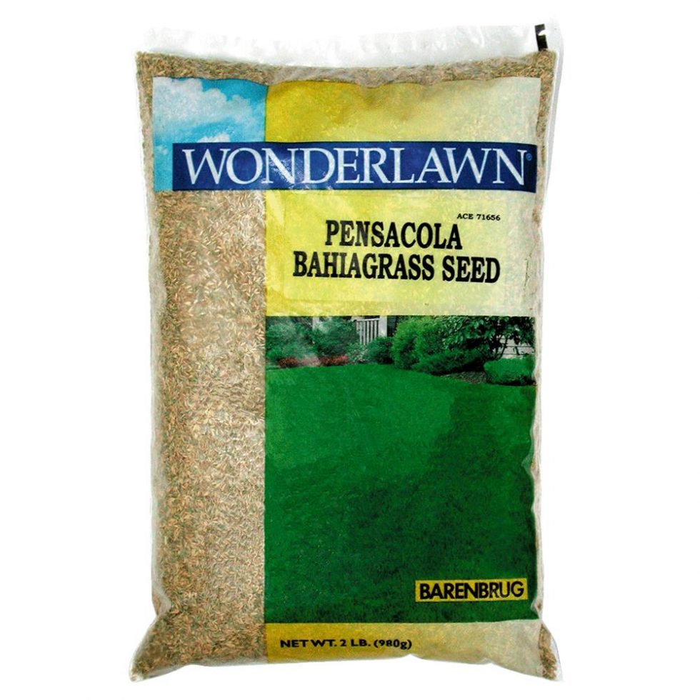 Barenbrug USA 76202 Wonderlawn Pensacola Bahiagrass Grass Seed Family