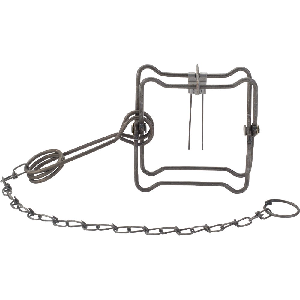 Duke Traps 4.5 In. Jaw Spread Steel Body Gripping Mink, Muskrat